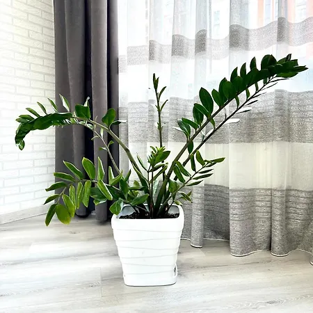 شقة Osapart Beautiful In A Complex Semycvit إلفيف