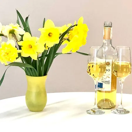 Osapart Beautiful In A Complex Semycvit إلفيف