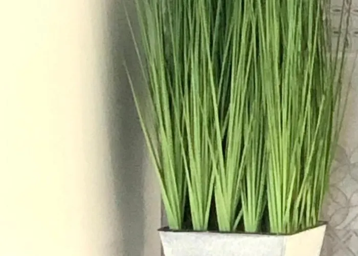 Osapart Beautiful In A Complex Semycvit Lviv