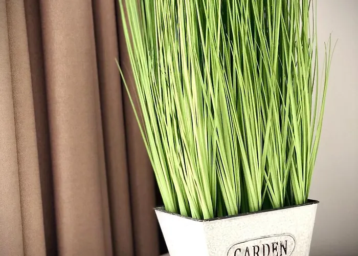 Osapart Beautiful In A Complex Semycvit Appartement