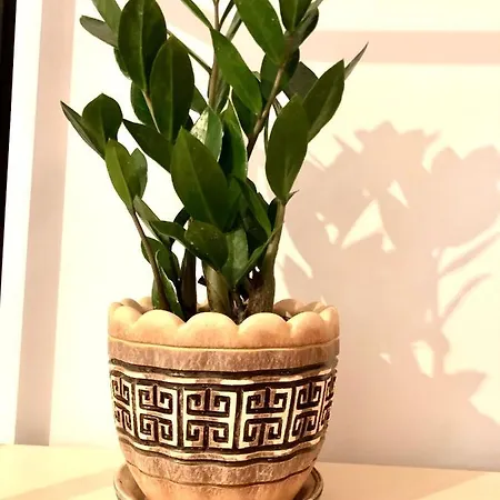 Osapart Beautiful In A Complex Semycvit 리비프