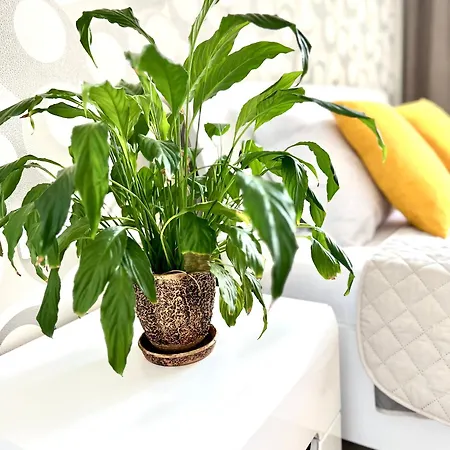 Apartamento Osapart Beautiful In A Complex Semycvit Lviv