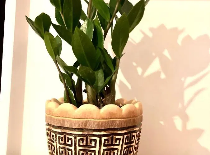 Osapart Beautiful In A Complex Semycvit 利沃夫