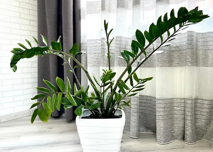 公寓 Osapart Beautiful In A Complex Semycvit 利沃夫