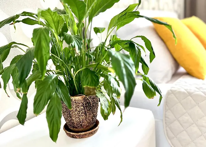 公寓 Osapart Beautiful In A Complex Semycvit 利沃夫