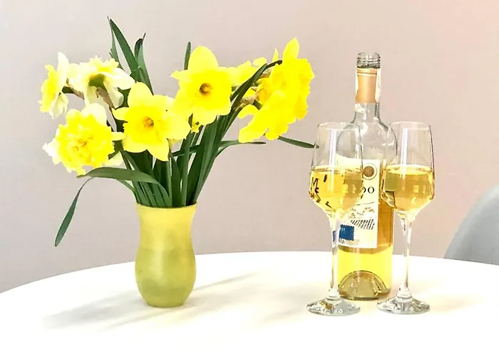 Osapart Beautiful In A Complex Semycvit 利沃夫